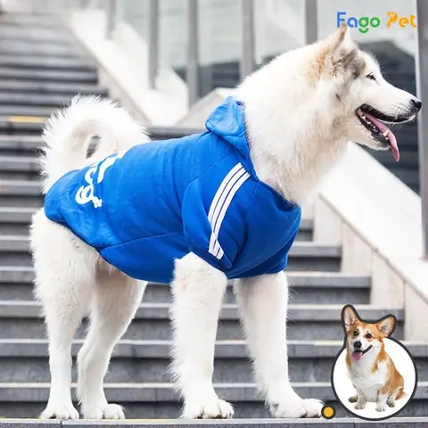 Áo Khoác Adidas Áo Khoác Adidas