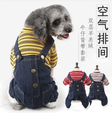 Quần Áo Cho Chó To: Hướng Dẫn Chọn Lựa Đúng Chuẩn Cho Thú Cưng