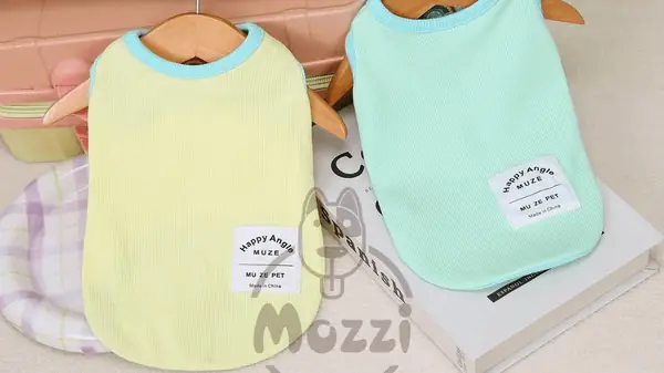 Tông Màu Pastel Nhẹ Nhàng