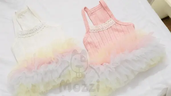 Thiết Kế Mẫu Mã Đa Dạng