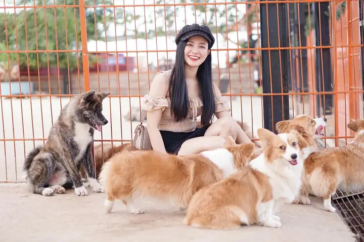 Nông Trại Cún Puppy Farm