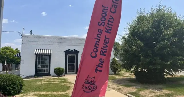 Quán Cà Phê Cho Mang Chó: Hướng Dẫn Chọn & Trải Nghiệm Tuyệt Vời