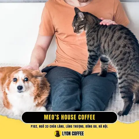 14. Meo’s House Coffee – Quán Cà Phê Thú Cưng Phong Cách Đáng Yêu
