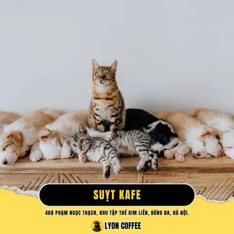 Suỵt Kafe – Cà Phê Mèo Phong Cách Vintage