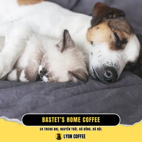 Bastet’s Home Coffee – Quán Cafe Chó Mèo Lâu Đời Hà Đông