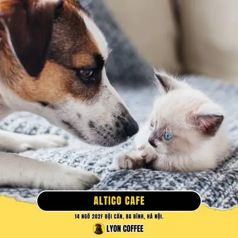 Altico Cafe – Quán Cà Phê Không Gian Riêng Cho “con Sen”