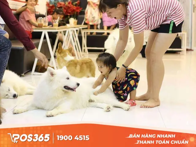 Luffy Coffee - Pet Cafe Hà Nội Cho Thú Cưng Vào Luffy Coffee - Pet Cafe Hà Nội Cho Thú Cưng Vào