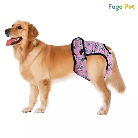 Địa Chỉ Bán Quần Tránh Thai Cho Chó Cái Giá Chất Lượng, Giá Rẻ