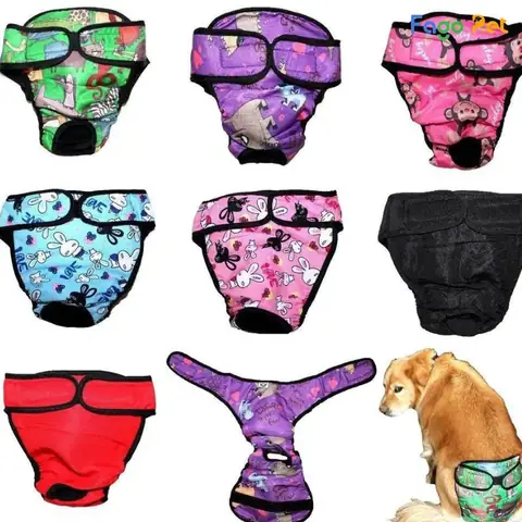 Công Dụng Của Quần Tránh Thai Cho Chó