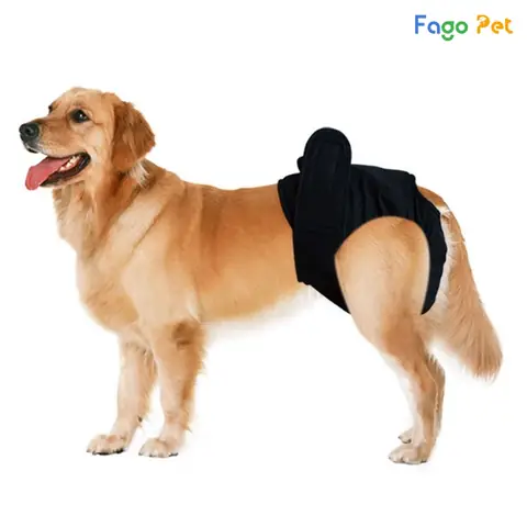 Thông Tin Sản Phẩm Quần Tránh Thai Cho Chó