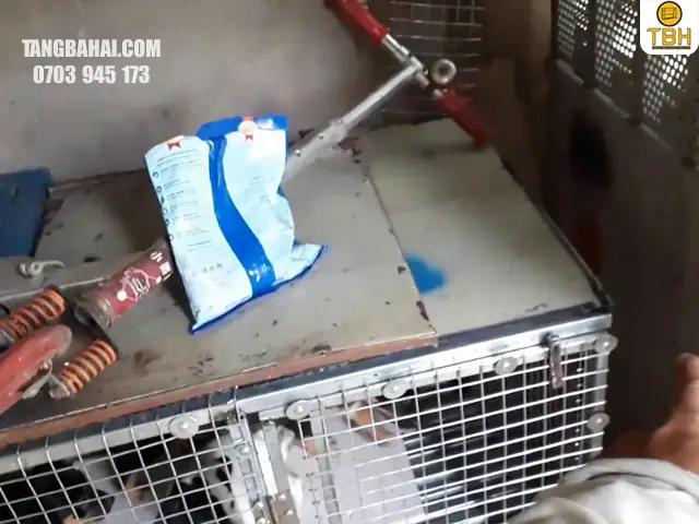 Cấu Tạo Chuồng Chó Làm Bằng Kệ Sắt V Lỗ