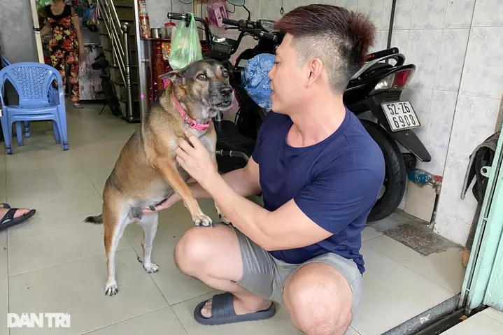 Ông Lý Thanh Tâm (sn 1980, Ngụ Quận 4) Cho Biết Người Nuôi Chó Phải Có Trách Nhiệm Quản Lý Con Vật. Không Nên Đổ Lỗi Con Vật Sống Theo Bản Năng Mà Trốn Tránh Trách Nhiệm Khi Ảnh Hưởng Người Khác (ảnh: An Huy).