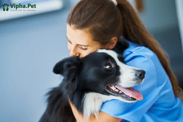 Hạn Chế Mang Thai Ngoài Ý Muốn