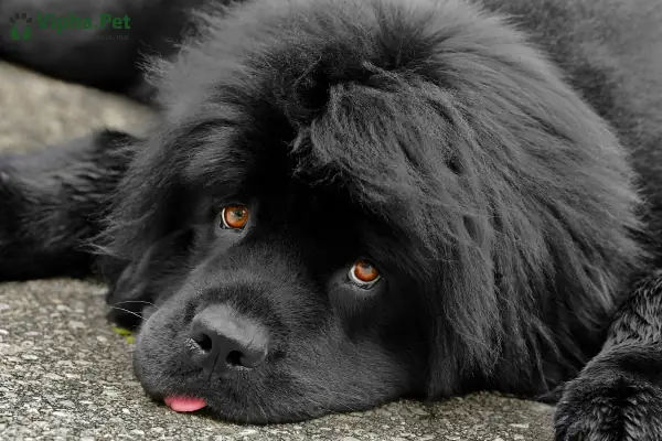 Loại Bỏ Mùi Hương Khó Chịu