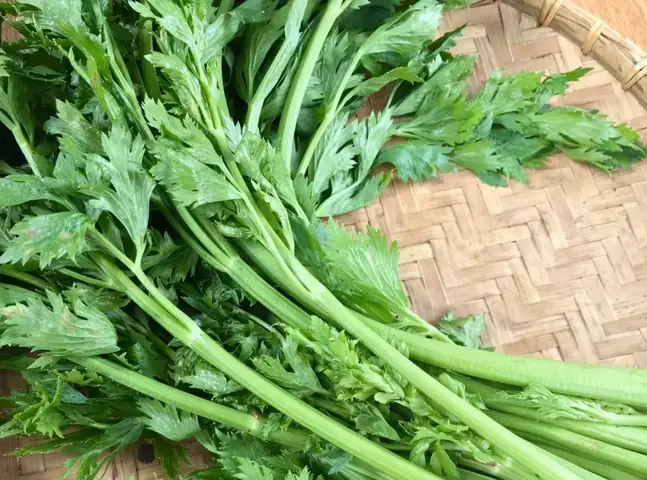 Cần Tây Cần Tây