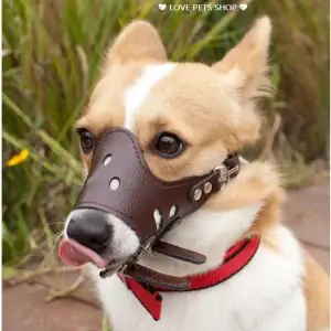 Rọ Mõm Chó Bằng Da