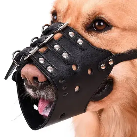 Các Loại Rọ Mõm Phổ Biến Và Ảnh Hưởng Đến Việc Ăn Uống