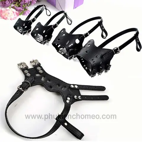 Rọ Mõm Chó Có Ăn Được Không