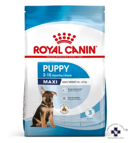 Royal Canin Cho Chó Lớn: Hướng Dẫn Chăm Sóc & Dinh Dưỡng Toàn Diện