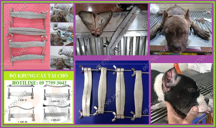 Khuôn Cắt Tai Chó