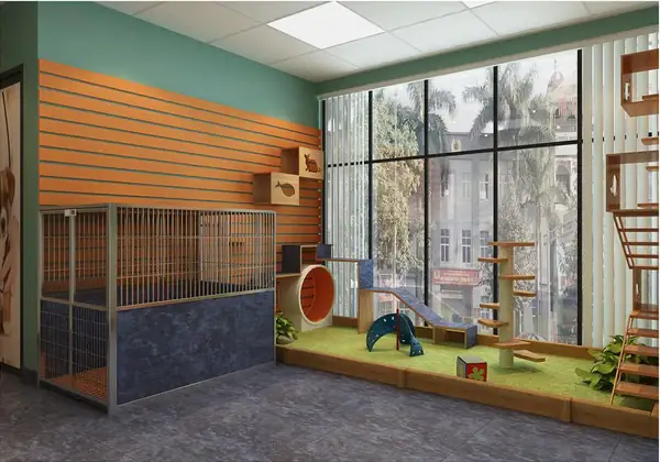 Khu Vui Chơi Chó Mèo Anamudi