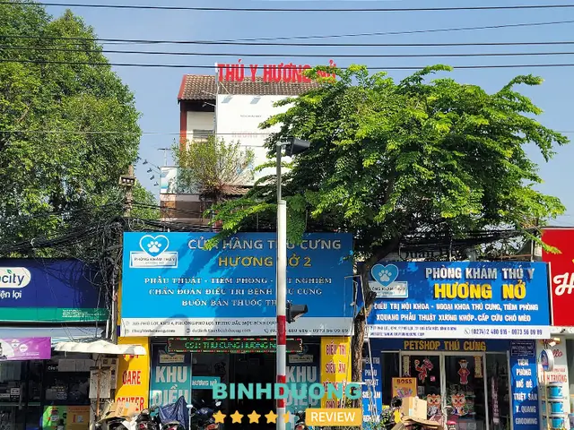 Pet Shop Hương Nở Ii Pet Shop Hương Nở Ii