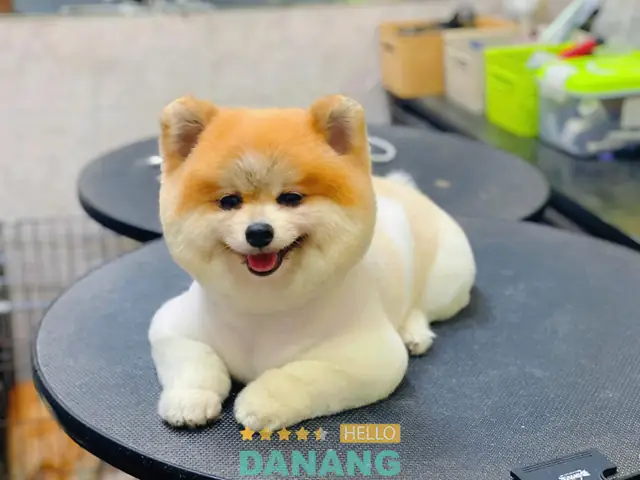 Happy Petshop Happy Petshop