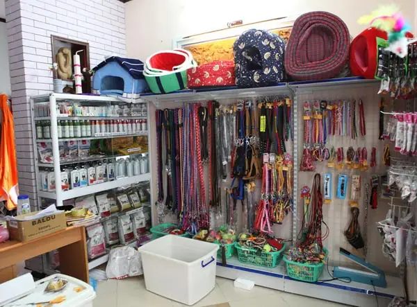 Cách Chọn Phụ Kiện Chó Mèo Theo Lời Khuyên Chuyên Gia?