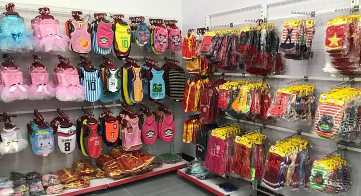 Cách Chọn Phụ Kiện Chó Mèo Theo Lời Khuyên Chuyên Gia?