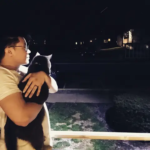 So Sánh Con Mèo Và Con Chó So Sánh Con Mèo Và Con Chó