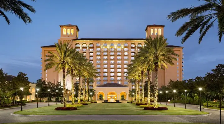 Mèo Hay Chó? So Sánh Chi Tiết Để Hiểu Rõ Hơn Về Thú Cưng