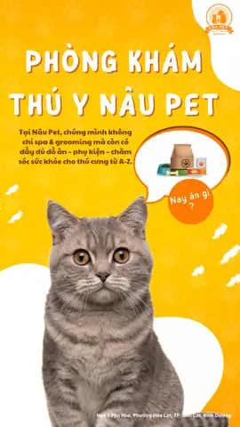 Spa Chó Mèo Bình Dương