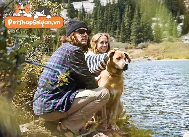 Tính Di Truyền Đằng Sau Sự Trung Thành Của Loài Chó