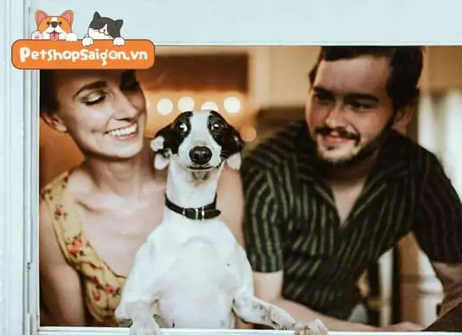 Tính Di Truyền Đằng Sau Sự Trung Thành Của Loài Chó