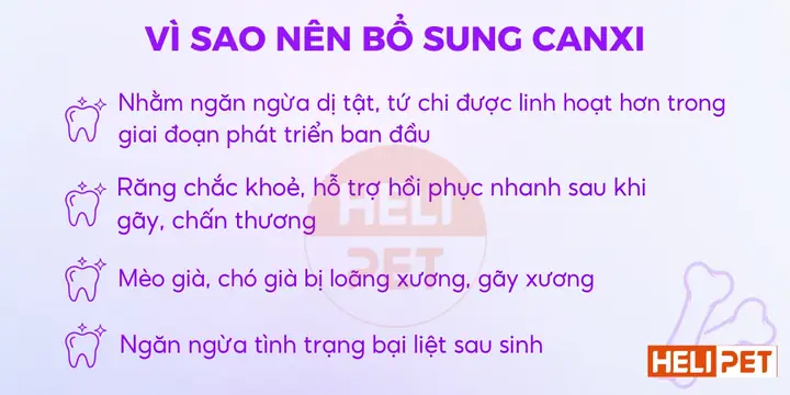 Thông Tin Viên Bổ Sung Canxi Cho Chó Mèo Dr.vet