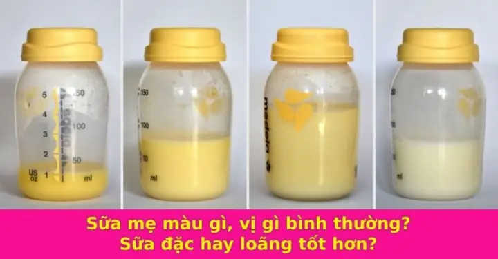 Sữa Chó Mẹ Màu Vàng: Dấu Hiệu Bất Thường Cần Lưu Ý