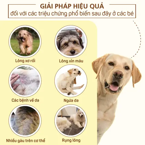 Thông Tin Sữa Tắm Cho Chó Husky Mastercare