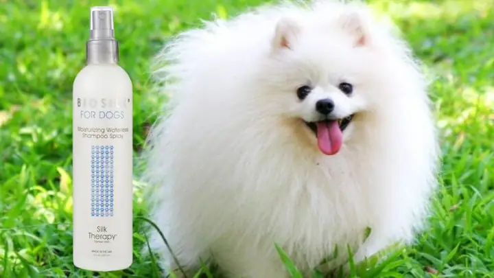 Sữa Tắm Cho Chó - Biosilk