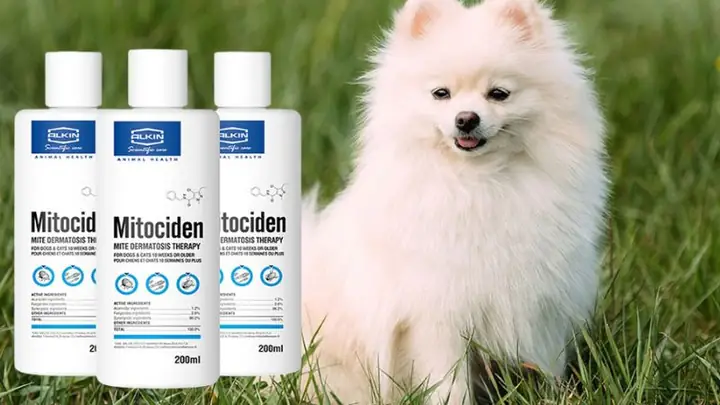 Sữa Tắm Cho Chó - Alkin