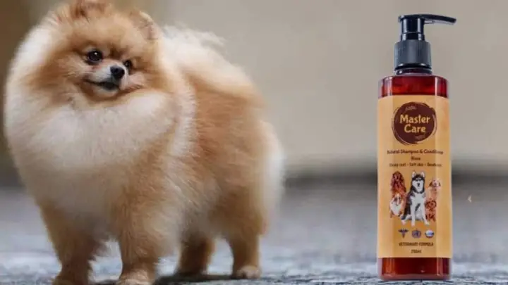 Sữa Tắm Cho Chó - Master Care