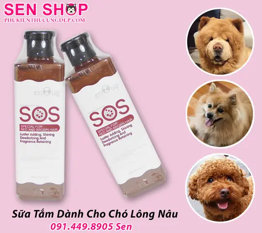 Xem Hình Ảnh Chi Tiết Sữa Tắm Cho Chó Poodle Xem Hình Ảnh Chi Tiết Sữa Tắm Cho Chó Poodle