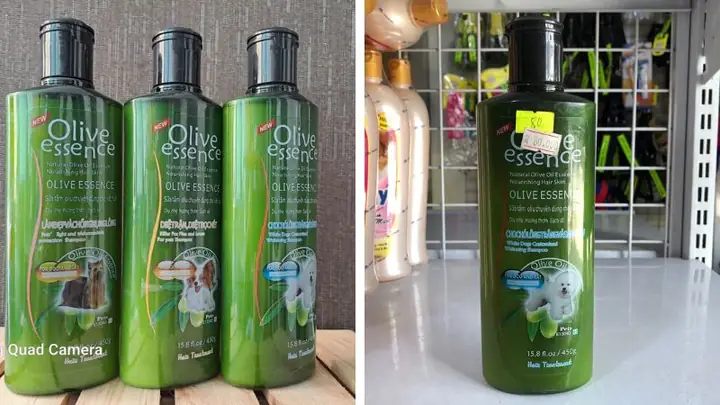 Sữa Tắm Cho Chó Poodle Nâu Đỏ