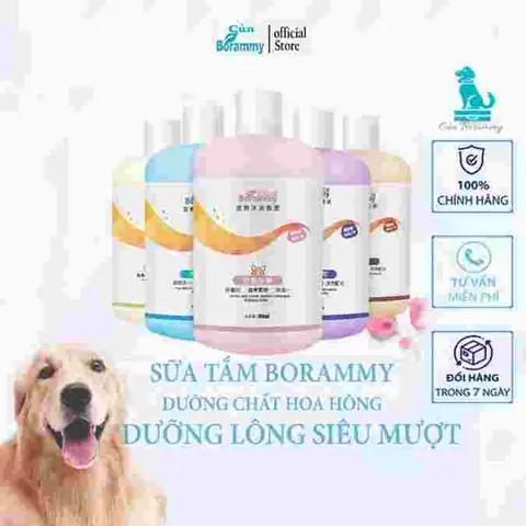 Cách Chọn Sữa Tắm Cho Chó Mượt Lông An Toàn?