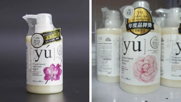 Sữa Tắm Cho Chó Poodle Trắng Sữa Tắm Cho Chó Poodle Trắng