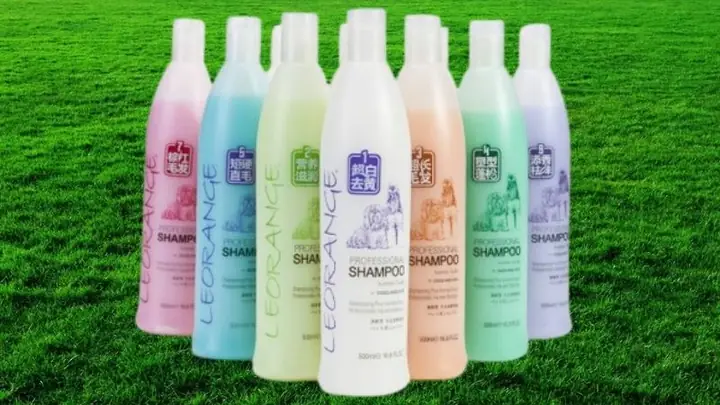 Sữa Tắm Cho Chó Poodle Trắng Sữa Tắm Cho Chó Poodle Trắng