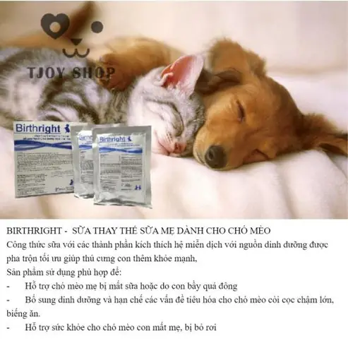 Sữa Thay Thế Cho Chó Con: Hướng Dẫn & Lưu Ý