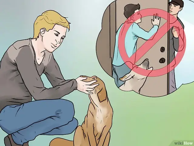 Bước 1: Nếu Bạn Muốn Huấn Luyện Chó Của Bạn Ngừng Sủa, Bạn Có Thể Thử Kỹ Thuật “im Lặng” Bằng Cách Giữ Mõm Của Chó.