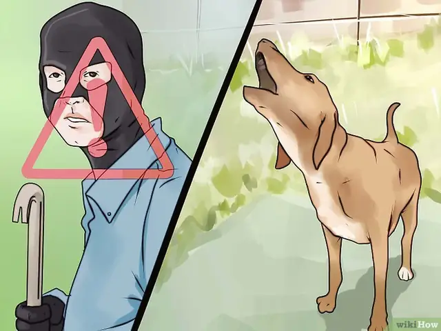 Bước 1: Tiếng Sủa Chủ Quyền Là Một Hành Vi Phổ Biến Của Chó Khi Gặp Người Lạ.