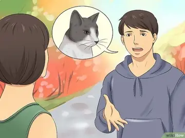 Cách Xua Đuổi Mèo Hoang Vào Nhà - Kallos Vietnam