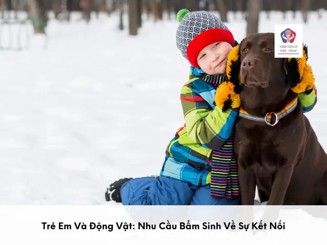 Tại Sao Chó Thích Trẻ Con